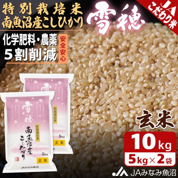 【ふるさと納税】【令和7年産】特別栽培米南魚沼産こしひかり「雪穂」玄米10kg 農薬5割削減 特A獲得日本一産地 精選玄米 もっちり甘い 南魚沼産コシヒカリ | お米 こめ 食品 人気 おすすめ 送料無料 魚沼 南魚沼 南魚沼市 新潟県