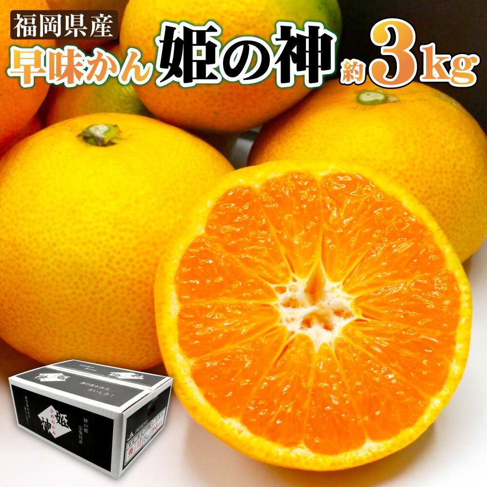 【ふるさと納税】 JAむなかた ブランドみかん 【姫の神】 （早味かん） 約3kg みかん ミカン 蜜柑 姫の神 早味かん 極早生みかん 柑橘 柑橘類 フルーツ くだもの 果物 冷蔵 福岡県産 送料無料 【2025年9月中旬より順次発送】 [F2280a]