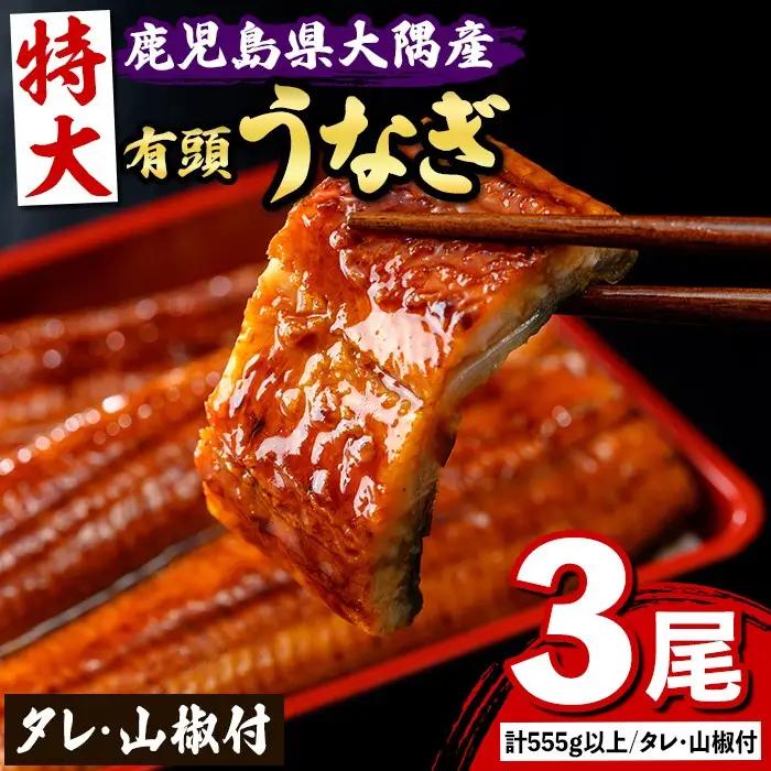 国産 鰻 蒲焼 3尾 計555g以上 うなぎ 鰻 有頭 特大【一般社団法人きもつき宇宙協議会】B57006