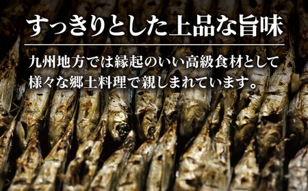 【上五島の伝統的な味をご家庭で】五島列島産 厳選 焼きあご 100g×6袋【新魚目町漁業協同組合】[RBC002]