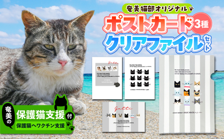 【 奄美 の 保護猫支援 （ ワクチン 代 ）】 ＋ ポストカード ＆ クリアファイル セット A071-009 お手紙 猫デザイン 3種 オリジナルポストカード A4サイズクリアファイル 保護猫プロジェクト cafeCOVOTANA ふるさと納税 鹿児島 奄美市 おすすめ ランキング プレゼント ギフト