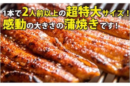 【数量限定】超特大サイズ国産うなぎ蒲焼き2本セット （230～249g×2本）(B632-3)