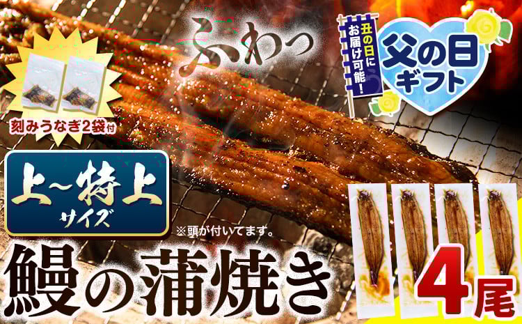 
            うなぎ 国産 鰻の蒲焼 4尾 + きざみうなぎ 30g×2袋 上～特上サイズ《選べる出荷時期)》| うなぎ 蒲焼 国産 うなぎ 小分け うなぎ 国産 うなぎ 父の日 うなぎ 母の日ギフト うなぎ 簡易包装 送料無料 徳島県 上板町
          