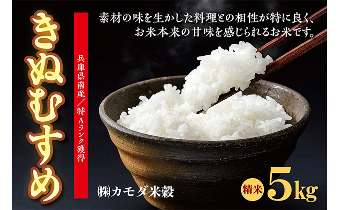 米 令和6年産 兵庫県南産 きぬむすめ 5kg [ お米 白米 精米 おこめ コメ ]