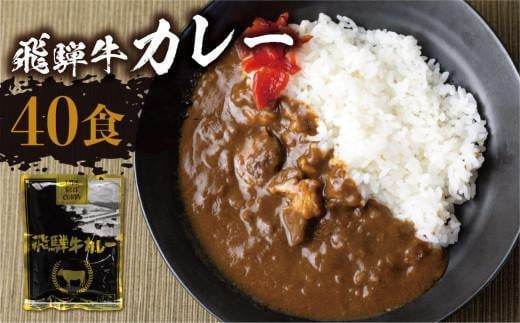 【8月発送】飛騨牛カレー (40袋) ビーフカレー 飛騨牛 カレー 簡易包装  レトルトカレー お手軽  ふるさと清見 DC009VC08