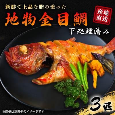 ふるさと納税 御前崎市 地物金目鯛3匹セット
