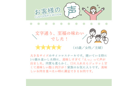 【牧場直送】佐賀産和牛 サイコロステーキ用 600g：B220-011