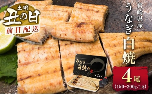 前日配送予約［土用丑の日］うなぎ白焼き 4尾 タレ付（150～200g/1尾あたり）※前日7月25日お届け 国産 有頭 熨斗 贈答品 ギフト 配送日指定可【N46-A26】