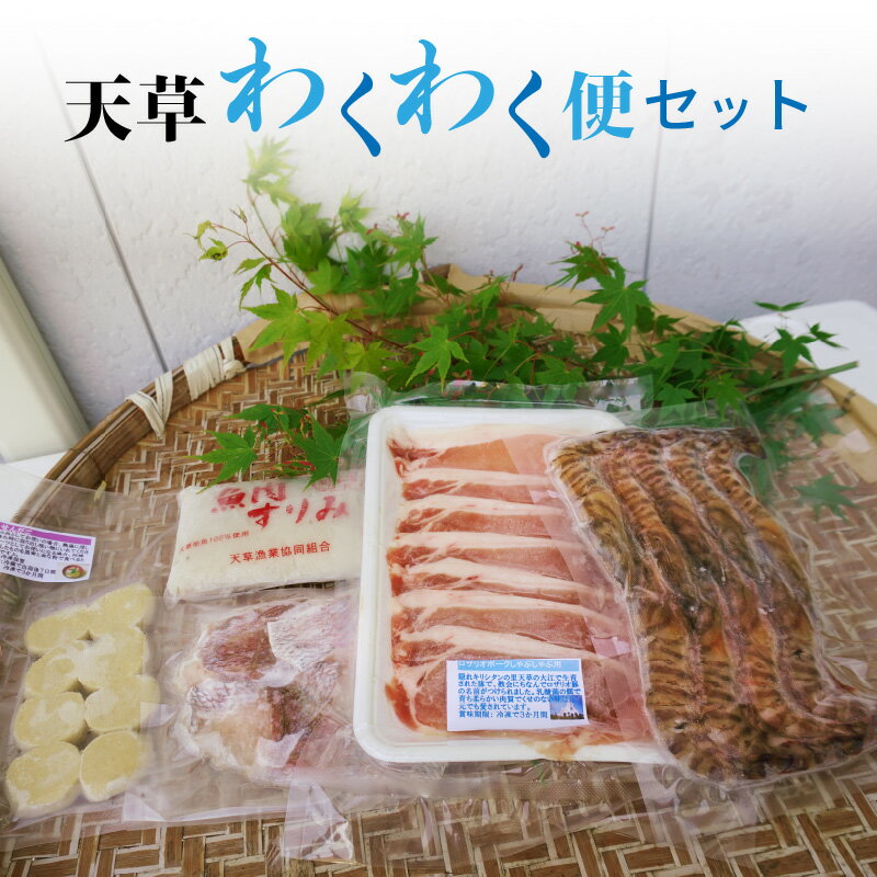 【ふるさと納税】高評価 天草 わくわく便 セット 詰め合わせ クルマエビ 白身魚 すり身 旬 魚 切り身 ロザリオポーク しゃぶしゃぶ 郷土銘品 せんだご 真空パック 郷土料理 豚肉 シーフード 海産物 魚介 海鮮 冷凍 お取り寄せグルメ 熊本県 天草市 送料無料