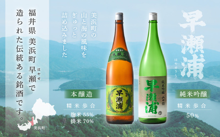 入手困難【早瀬浦】純米吟醸 1800ml × 1本 ＆ 本醸造 1800ml × 2本 セット【飲み比べ 日本酒 地酒 福井 美浜 早瀬 フルーティ 男酒 硬水 ミネラル 希少 ご褒美 家飲み】[m1