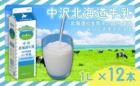 北海道 牛乳 1L × 12本 12L 成分無調整牛乳 NKZ005 