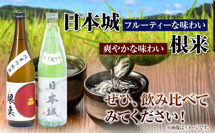 日本城 純米大吟醸酒 純米吟醸酒 根来 飲み比べセット 720ml×2本セット 厳選館《90日以内に出荷予定(土日祝除く)》 和歌山県 日高川町 酒 純米吟醸 飲み比べ 1440ml 純米大吟醸酒 純