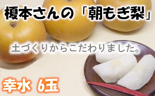 【先行予約】【幸水（3L～4L）6玉】土づくりからこだわる！榎本さんの「朝もぎ梨」　【2025年8月中旬より発送】【11246-0061】