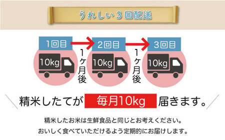 ＜令和7年産米先行受付＞ 令和8年2月中旬より発送 真室川町産 はえぬき【無洗米】30kg定期便 (10kg×3回)　◆YYR7H3010M-M2602B