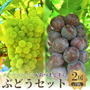 先行予約 数量限定 あづましずく エーデルワイス 2房 セット ぶどうセット 詰め合わせ 葡萄 ぶどう ブドウ 食べ比べ フルーツ 果物 高糖度 くだもの 大阪 大阪府 岸和田市