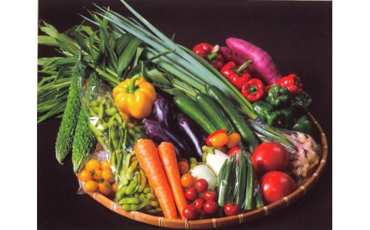 じばさんずの野菜セット  秦野産野菜3～5種類程（はだのじばさんずから、とれたて新鮮の野菜を厳選してお送りします！）/ 産地直送 国産 JA 秦野産 直送 野菜 旬 人気 セット 新鮮  神奈川 農協 じばさんず 野菜セット おまかせ