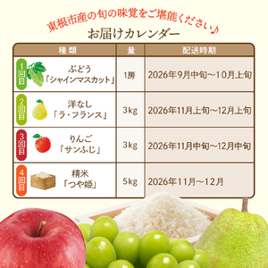 【2025年先行予約 4回定期便】秋の収穫満喫コース(2025年9月 シャインマスカットからスタート) シャインマスカット ラ・フランス りんご つや姫　hi003-143-1