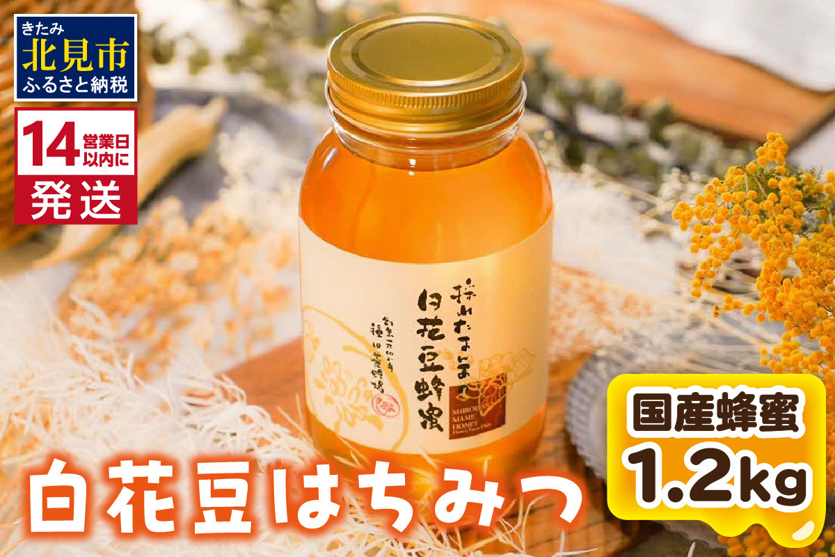 
                  《14営業日以内に発送》【国産蜂蜜】白花豆はちみつ 1200g ( はちみつ 蜂蜜 ハチミツ ハニー 白花豆 国産 ふるさと納税 )【022-0025】
                