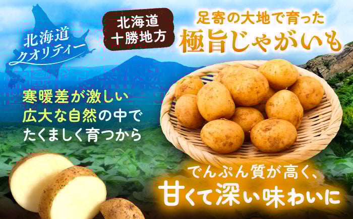 ジャガイモ じゃがいも 食べ比べ 野菜 キタアカリ きたあかり 足寄町 北海道