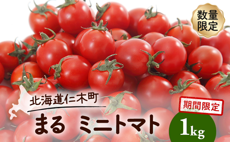 
                  北海道 仁木町 期間限定 数量限定 まる ミニトマト 1kg トマト 野菜 やさい [株式会社リッチランズ]
                
