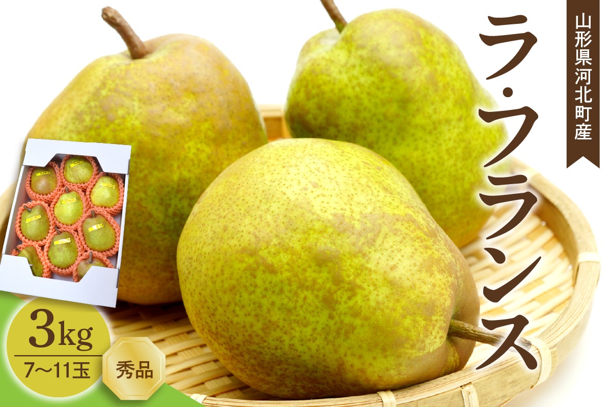
                  【令和8年産】洋梨 ラフランス 3kg(7～11玉前後) 【山形eLab】 (ふるさと納税 先行予約 先行受付 ギフト 贈答 秀品 贈答用 贈り物 お歳暮 季節の挨拶 プレゼント 果物 フルーツ くだもの 洋なし  芳醇 3キロ 山形産 フルーツ)
                