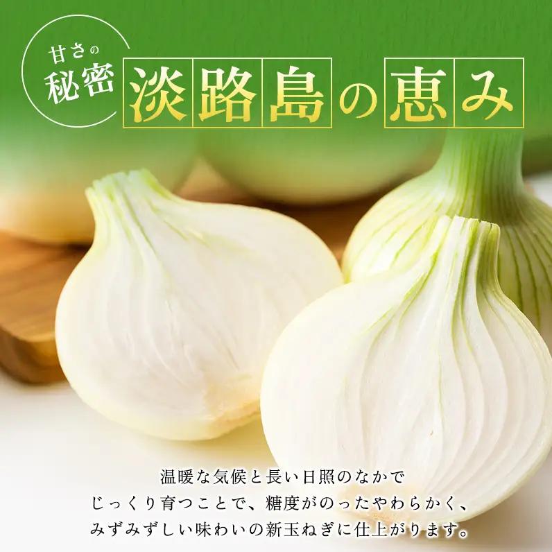 新玉ねぎ 淡路島産 10kg 山木さんち 甘い 新玉ねぎ