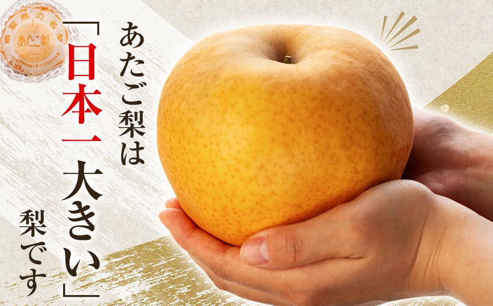 【先行予約】梨 あたご梨 鳥取産 5kg ( 5kg × 1箱 )