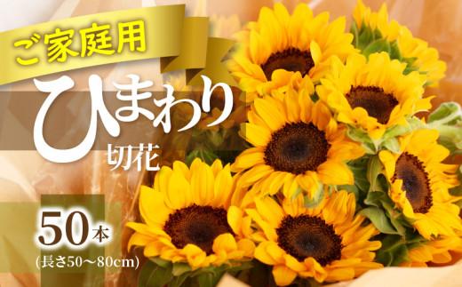 ご家庭用　ヒマワリ切花【2025-6月上旬～2025-9月下旬配送】 372013_T006-241J