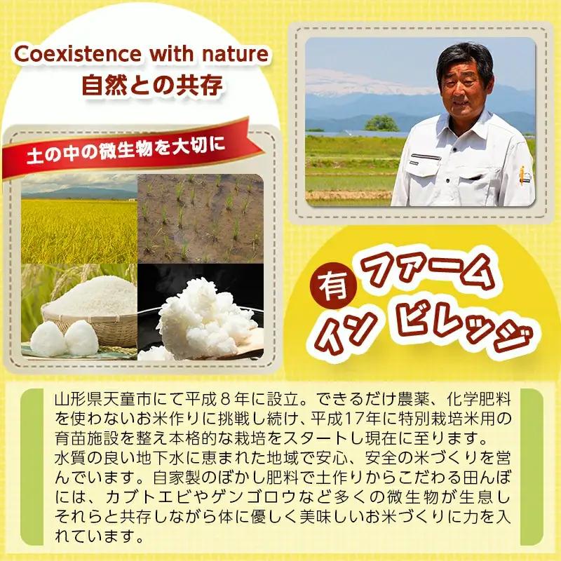 雪若丸 定期便 ( 5kg × 2袋 ) 12回 お届け 米 精米 山形