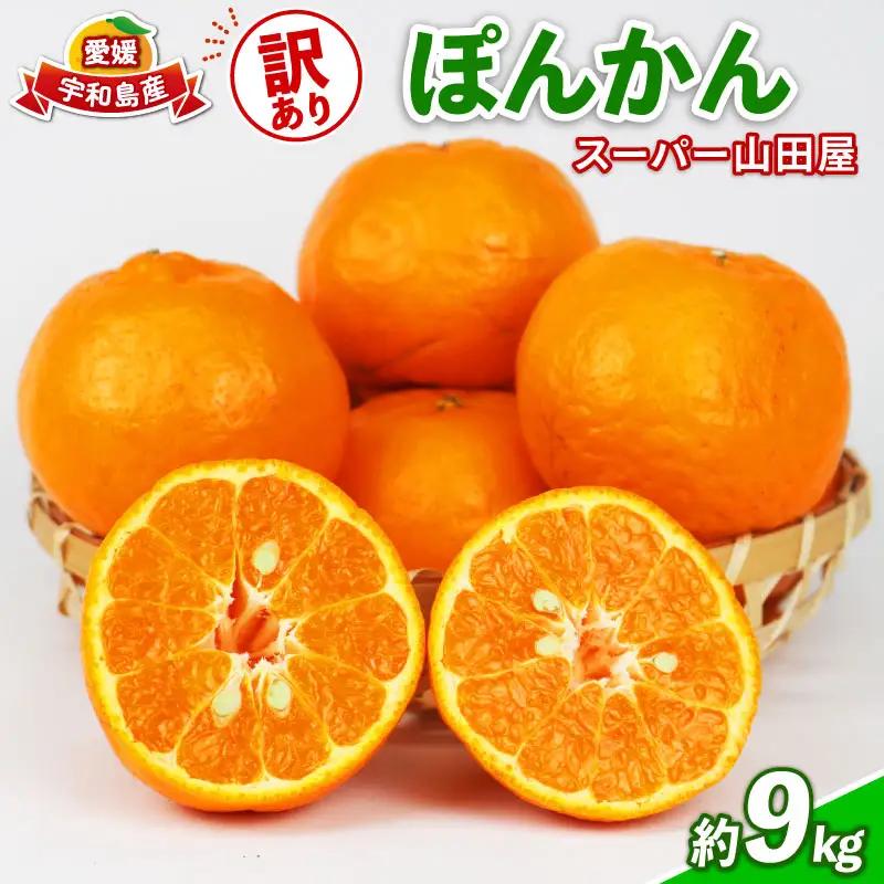 みかん 訳あり ポンカン 約 9kg スーパー山田屋 先行予約 ぽんかん 甘い 果物 くだもの フルーツ 柑橘 mikan 蜜柑 愛媛蜜柑 愛媛みかん わけあり サイズ 不揃い 産地直送 数量限定 国産 愛媛 宇和島 B016-198004