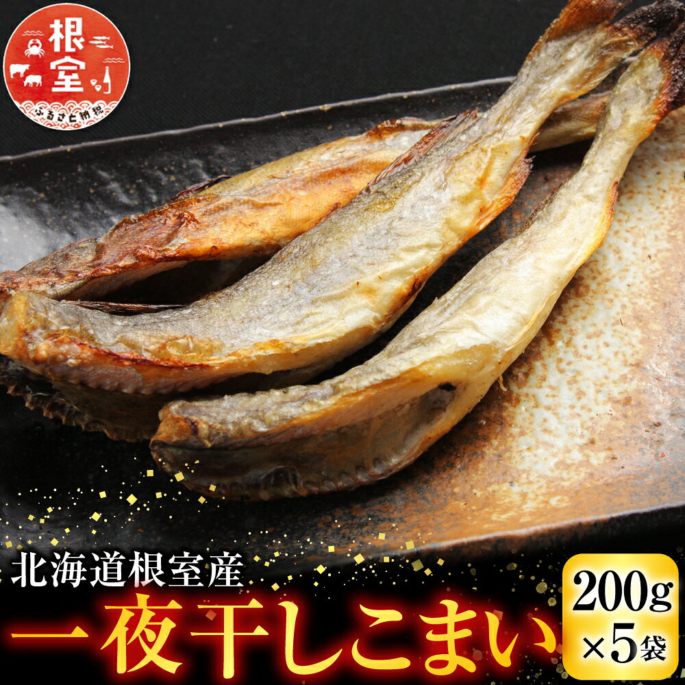 【ふるさと納税】 [北海道根室産] 一夜干しこまい200g×5袋 コマイ 氷下魚 カンカイ さかな 魚 サカナ 干物 珍味 おつまみ 生干し 北海道 根室市 ふるさと納税 A-30012