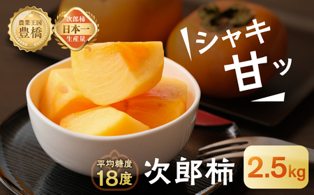 次郎柿 小箱 大玉 約9個 豊橋 柿