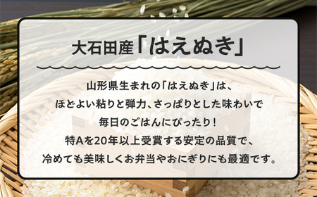 お米 米 はえぬき 30kg 令和7年産 【2026年6月上旬発送】大石田町産 特別栽培米 玄米 ※沖縄・離島への配送不可 ja-hagxa30-6f