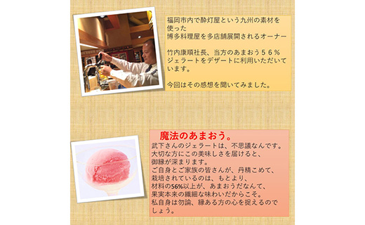 武下さんちのあまおうジェラート56％ 6カップギフト 濃厚なのに後味さっぱり！ ご家族様3，4名様向け