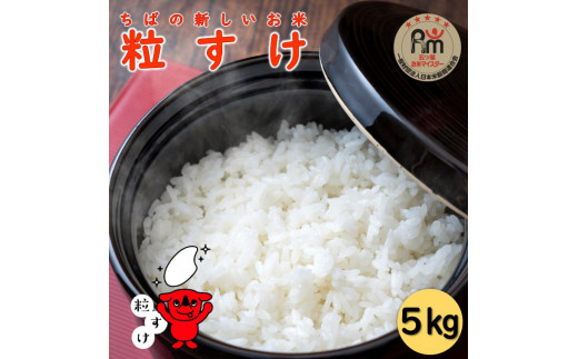 米 粒すけ 5kg 【五ツ星お米マイスター厳選】 お米 米 白米 コメ こめ ご飯 千葉県産 根本商店 ちばの新しいお米大粒で程よい粘りと食感の美味しい