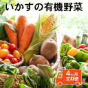 【ふるさと納税】いかすの有機野菜（月1回10品お届け4回分）　定期便・ 野菜 セット 詰合せ 有機野菜 10品 冷蔵