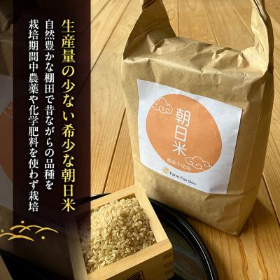 ふるさと納税 赤磐市 先行受付 農薬不使用 ホタル舞う里山の棚田米 玄米10kg 令和8年産[NO5765-1514] |  | 01