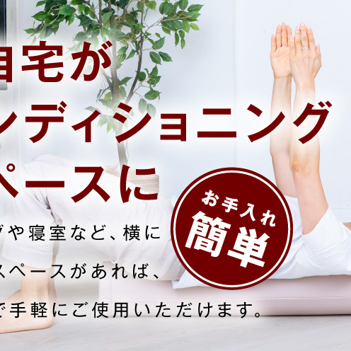 【LPN社製】ストレッチポールEX ピンクベージュ【正規品 セルフケア ストレッチ エクササイズ 腰痛 肩こり 体幹 コアトレ】 100F080_イメージ5