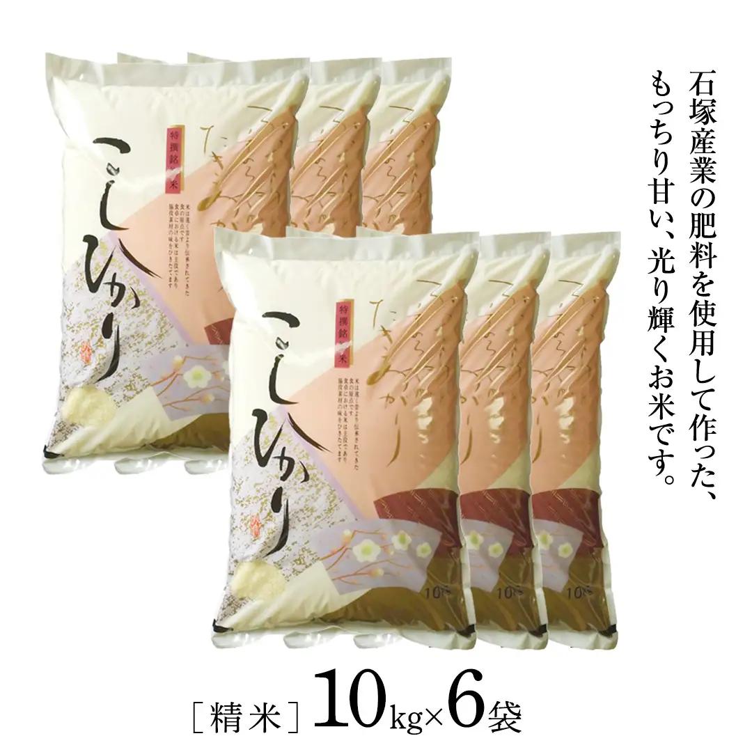 【 6ヶ月 定期便 】【 令和8年産 】 コシヒカリ 精米 10kg ( 10kg × 1袋 ) × 6回 ( 合計 60kg )（茨城県共通返礼品） こしひかり 米 ごはん もっちり 甘い コメ お
