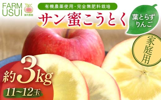 家庭用 有機農薬使用・完全無肥料栽培「サン蜜こうとく」葉とらずりんご約3kg（11～12玉） F7X-0476