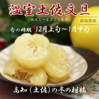 【先行予約】温室土佐文旦 L～3L 約6kg（10～14個入り）〈2026年12月上旬～12月下旬頃〉/ 高糖度 温室 ブンタン ぶんたん 土佐文旦 ハウス文旦 約6キロ 高知県 土佐市産 フルーツ 
