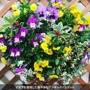 花 寄植え バスケット 季節の花　植物