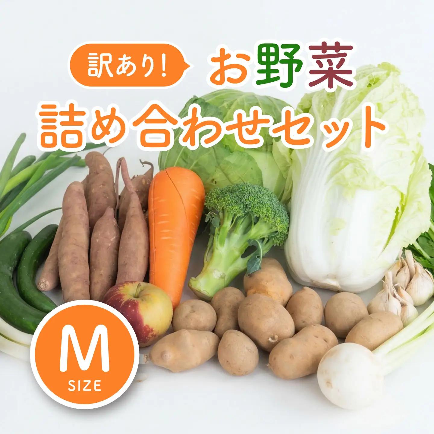 ＜ロスヘル＞多数のメディアで紹介されました！【訳あり】旬のもったいないお野菜詰め合わせセット　Mサイズ　野菜 規格外野菜 