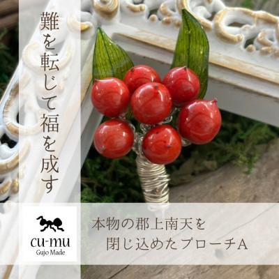 ふるさと納税 郡上市 本物の南天を閉じ込めたブローチA
