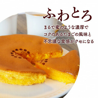 TKA016　じゅわっと半熟たまごカステラ もっちりとろける食感と、コクのあるたまごの風味がクセになる半熟卵カステラ 2個入り 個包装 高知 返礼品 スイーツ 人気 お土産 お取り寄せ 冷凍 高級 お