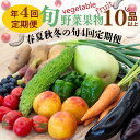 【ふるさと納税】 【 定期便 4回 】 野菜 ・ 果物 10 ～ 13 種類 セット | お楽しみ やさい フルーツ セット 旬 春 夏 秋 冬 採れたて 新鮮 農家 直送 詰め合わせ 国産 季節 フレッシュ ぶどう いちご スイカ きゅうり ピーマン なす トマト 大根 白菜 頒布会 高知県 須崎市