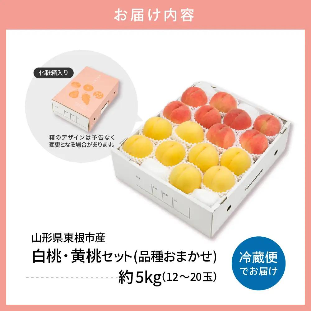 【2026年産 先行予約】 白桃＆黄桃 詰め合わせ (品種おまかせ) 5kg 秀品 化粧箱入り 東根農産センター提供 山形県 東根市 hi027-265 （東北 果物 フルーツ くだもの もも 桃 白