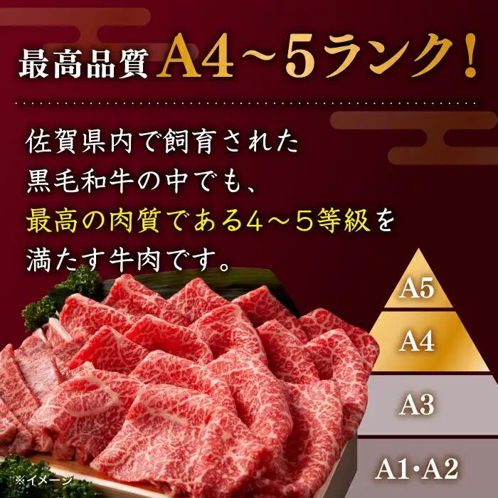 佐賀牛 おまかせ ステーキ 500g / ステーキ [IAX035]