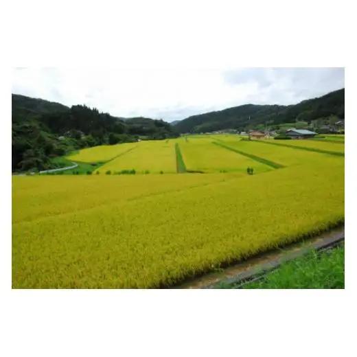 【 定期便3ヶ月連続 】 令和7年産 里山新見のめぐみ あきたこまち 10kg(5kg×2袋)