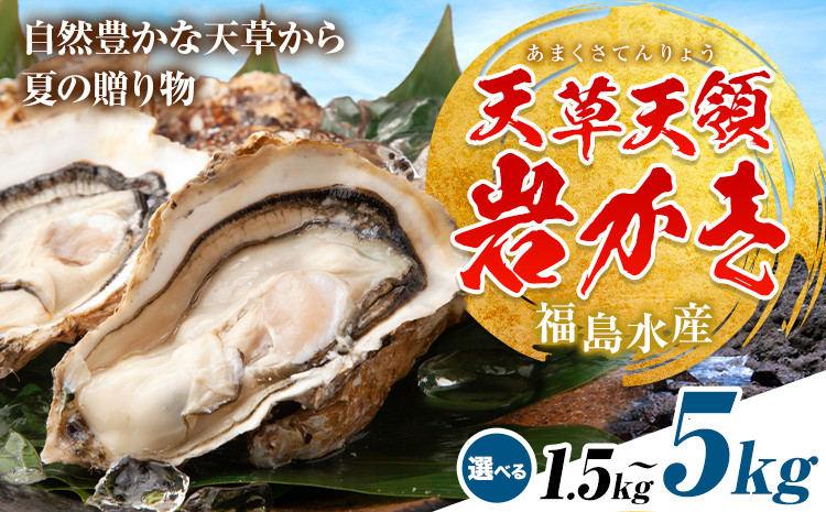 
            天領岩牡蠣 約1.5kg 約2.5kg 約5kg 選べる 福島水産《4月上旬-6月末頃出荷予定》熊本県 苓北町 牡蠣 かき カキ 岩カキ 岩ガキ 貝 BIG ビッグ 生食 バーベキュー 夏天草 天領 苓北 熊本 旬 シーズン 送料無料【配送不可地域あり】
          